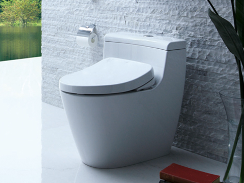 Image of WASHLET